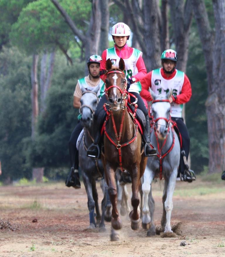 Città della Pieve – Endurance, il 26 e 27 giugno Campionato italiano pony e Under14