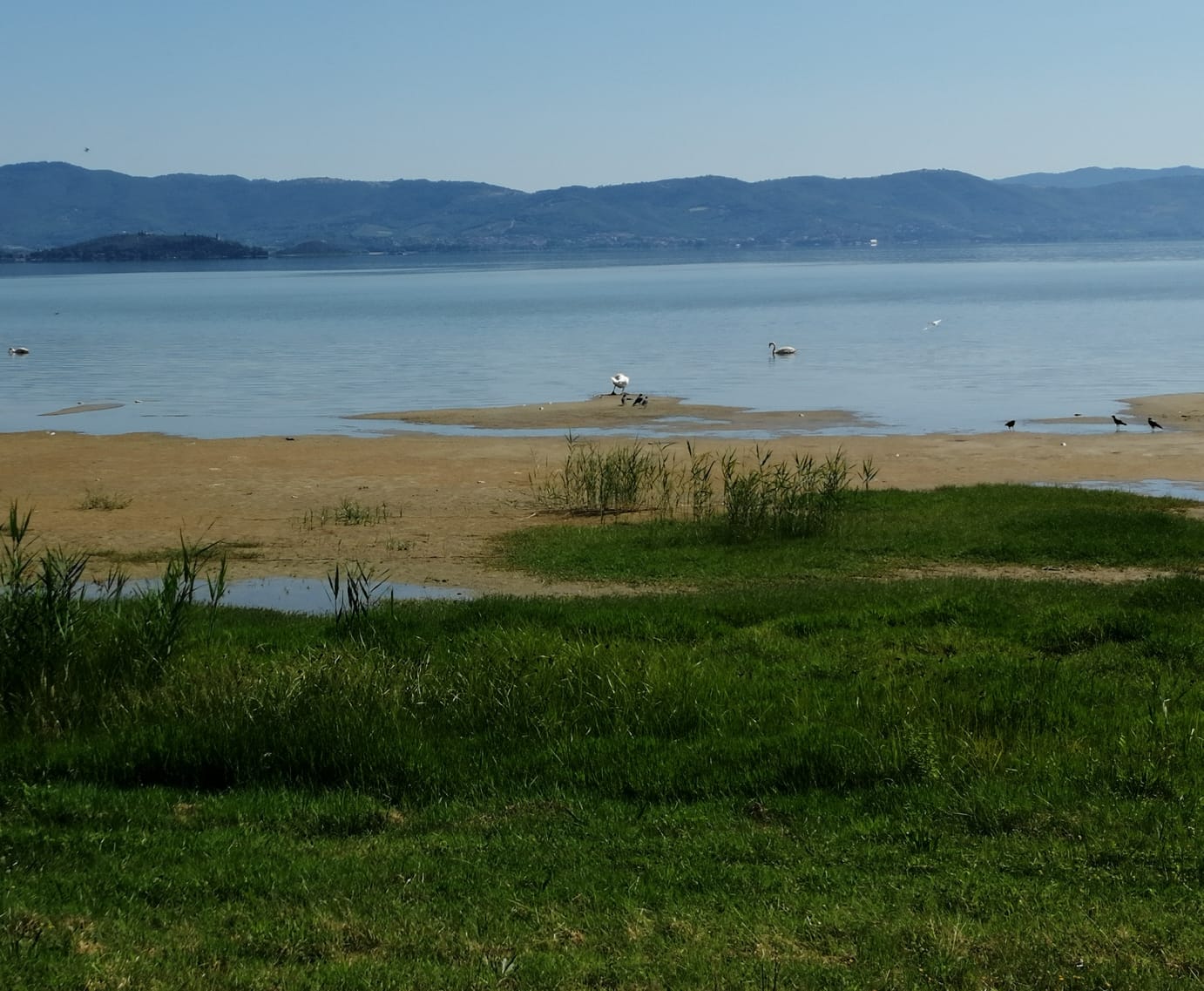 Crisi Trasimeno - Sabato camminata di dodici chilometri sulla "nuova" battigia 