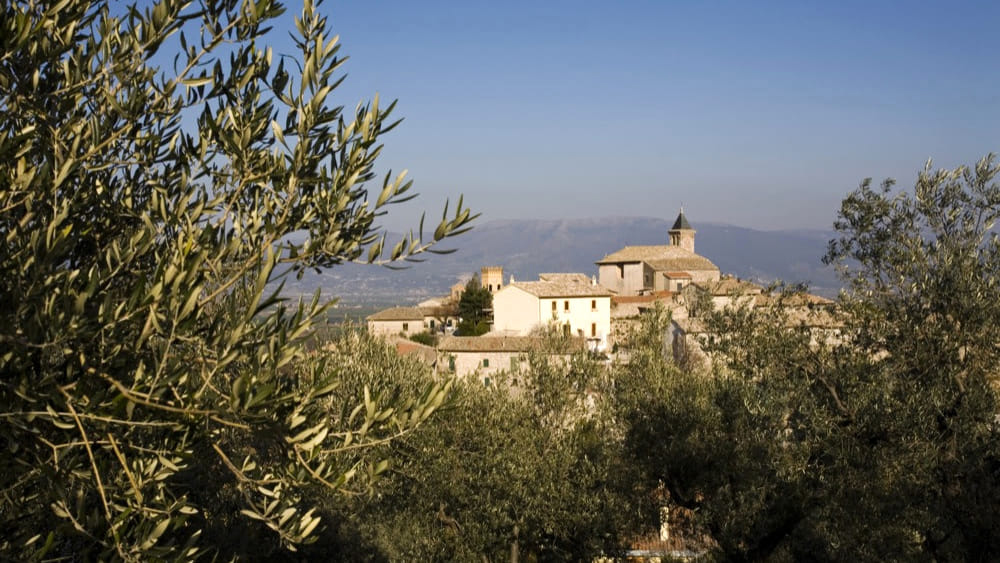 Giano dell'Umbria - Tutto è pronto per la "Festa della frasca"