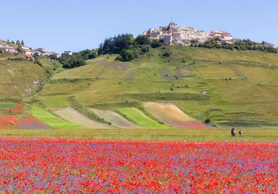 Viabilità – Sp 477 di Castelluccio: riaperta la strada, circolazione regolare nei giorni inizialmente previsti per la Fioritura
