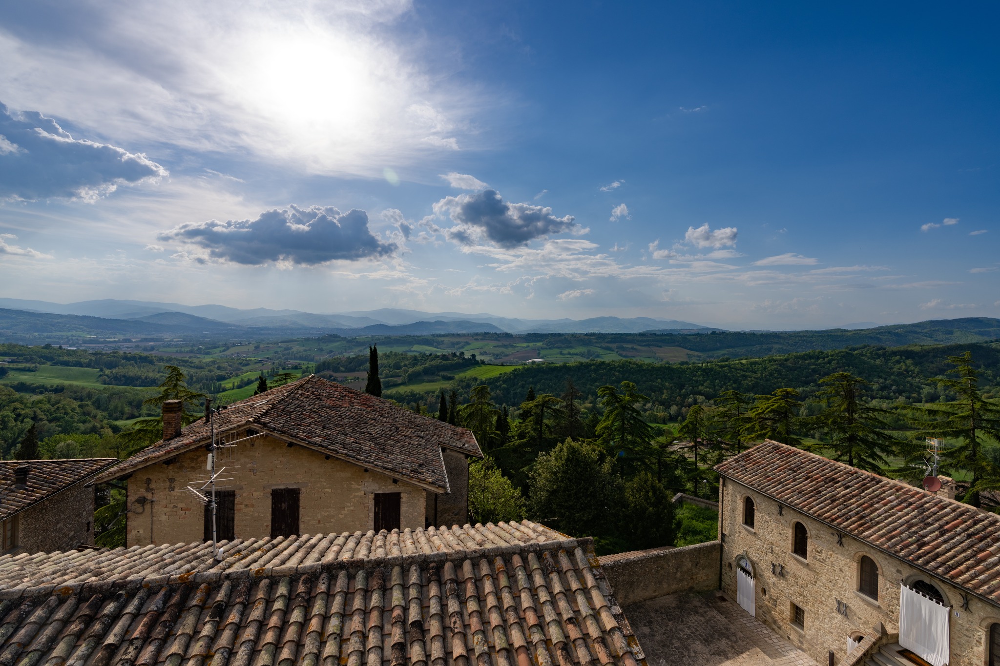 immagine di Montone