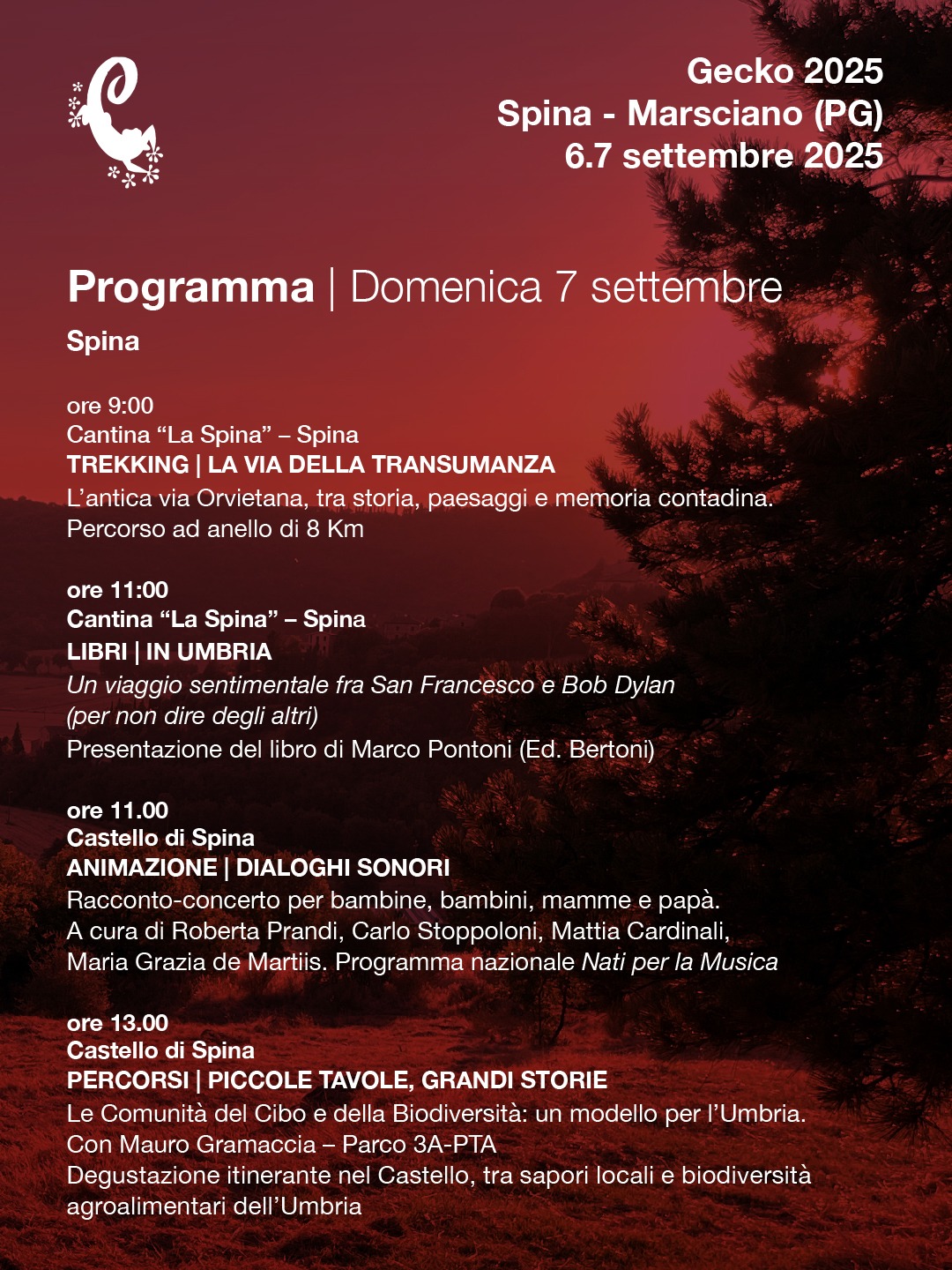 Programma di Domanica