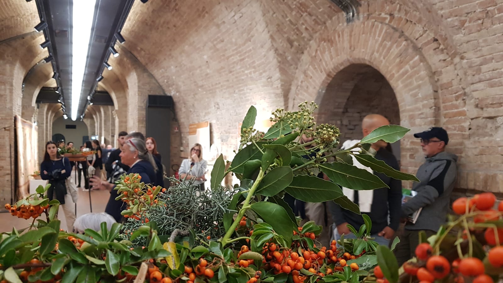 Mostre - Fino a domenica 19 ottobre al CERP c’è Velimna
