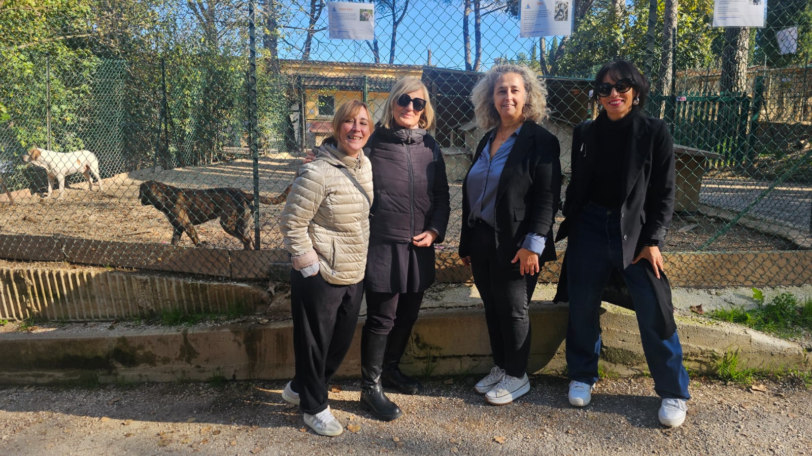 Lo Sportello a 4 Zampe della Provincia di Perugia al canile sanitario di Collestrada