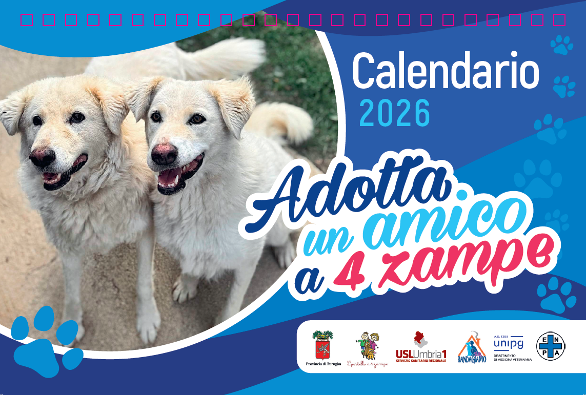 Calendario Sp4Zampe - 2026
