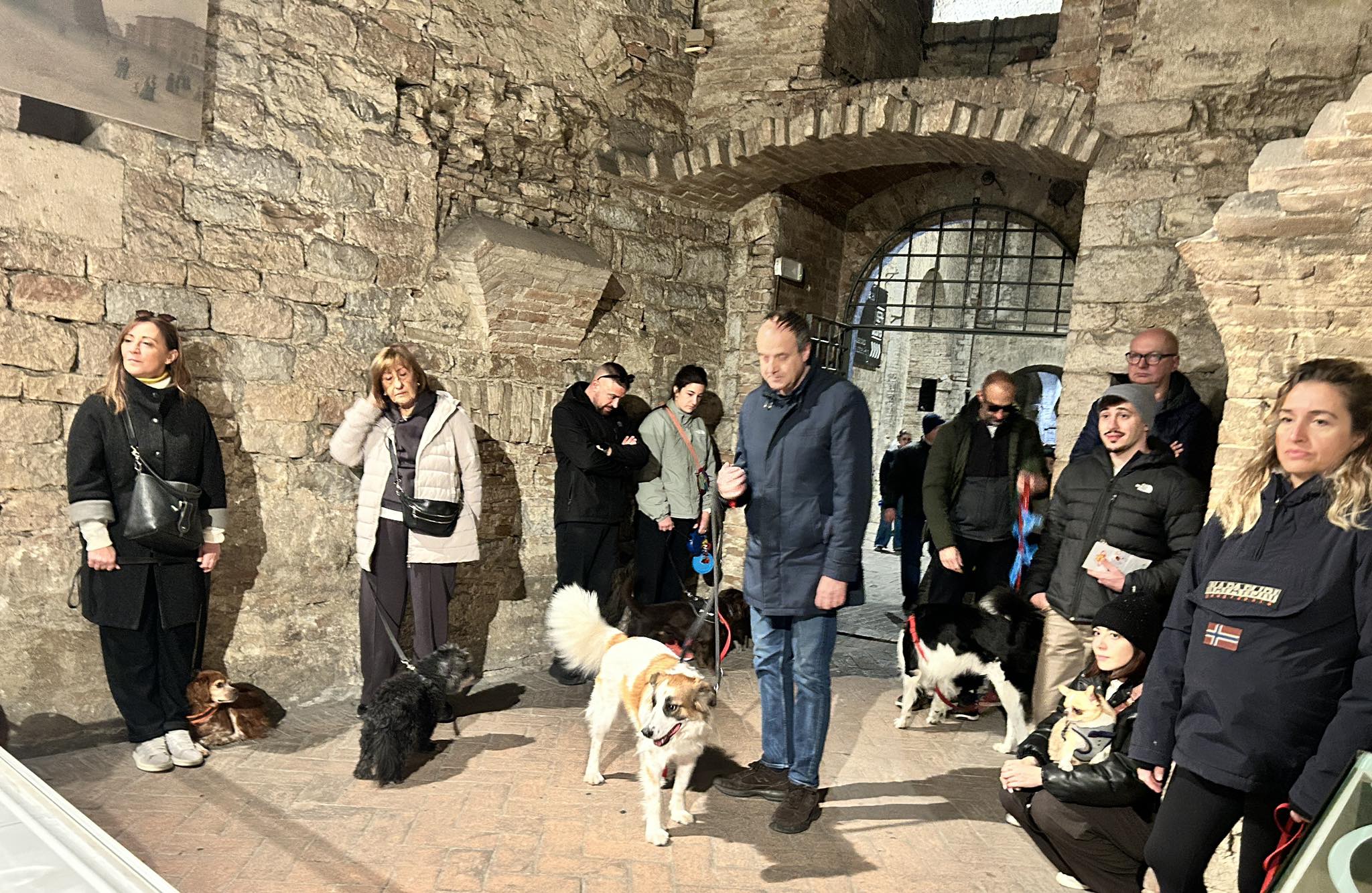 “Pelosissima 2025” - Tanti amici animali hanno animato il centro storico di Perugia