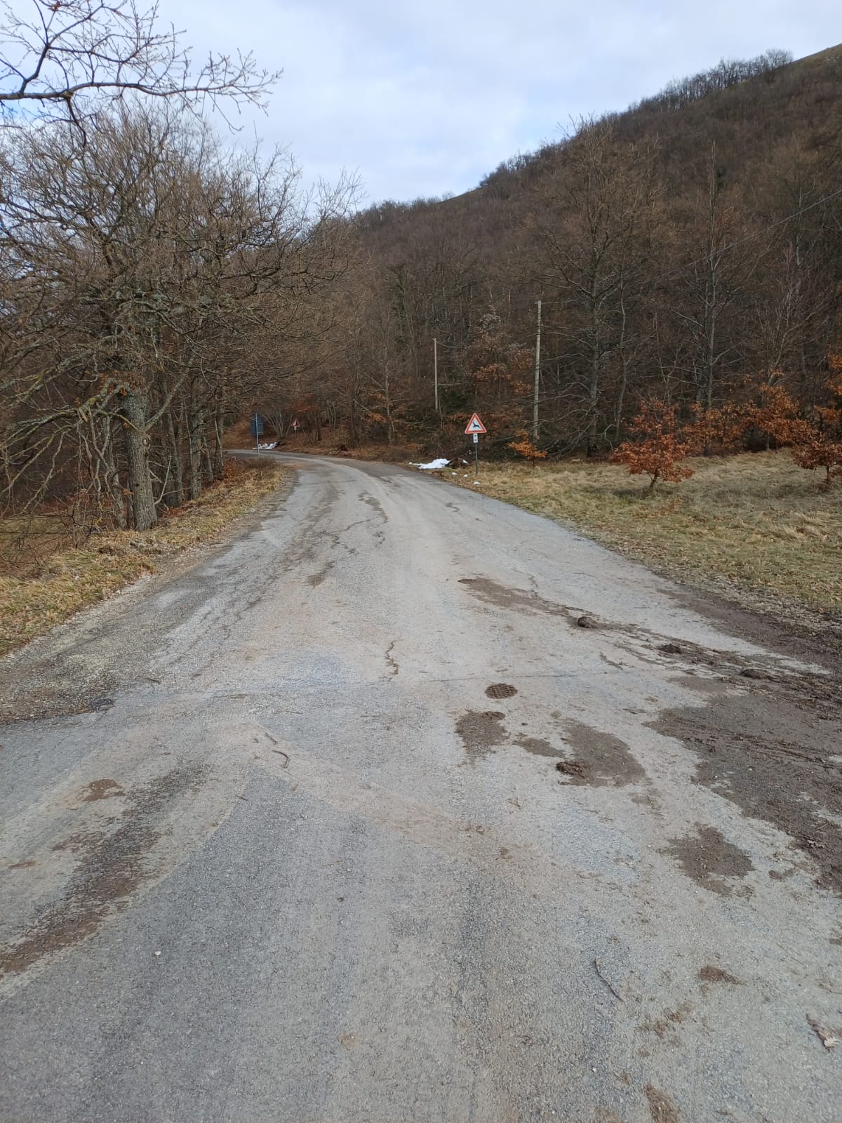 Immagine della SP 272 di Monte Alago