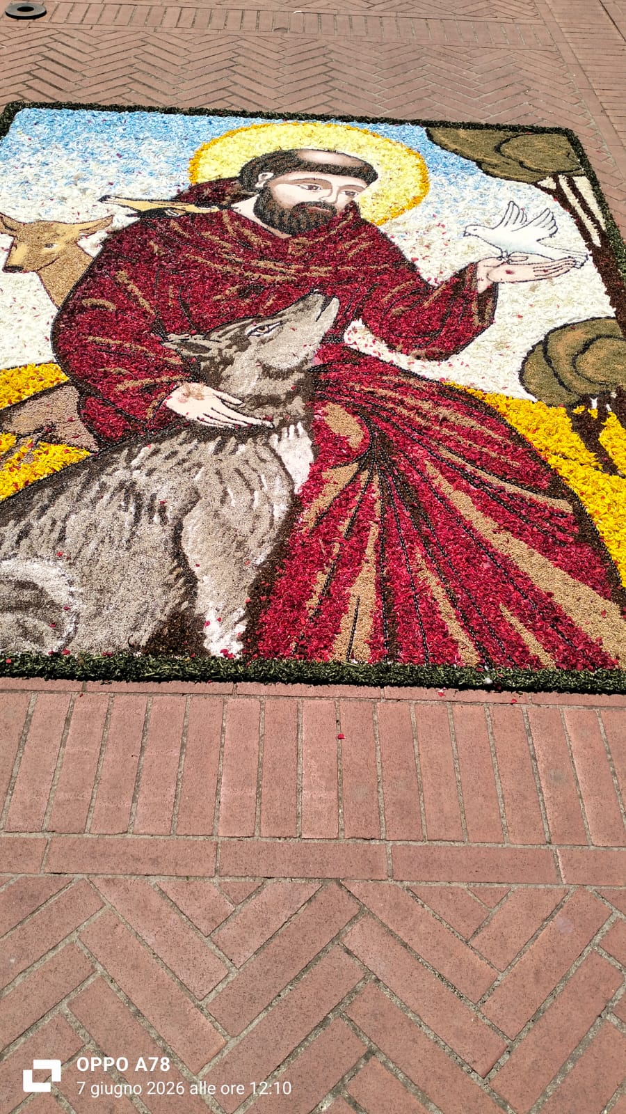 Opera raffigurante San Francesco